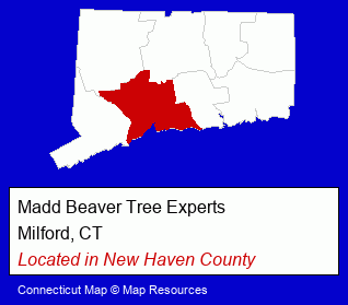 Connecticut counties map, showing the general location of Madd Beaver Tree Experts