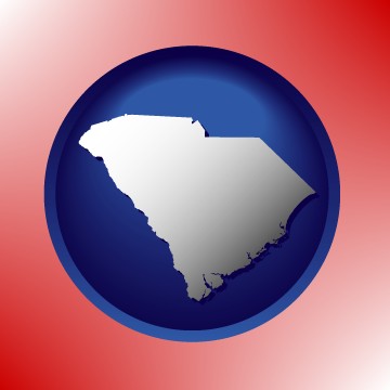 South Carolina icon
