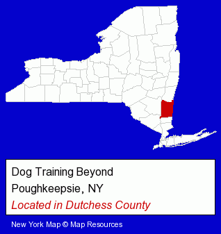 New York counties map, showing the general location of Dog Training Beyond
