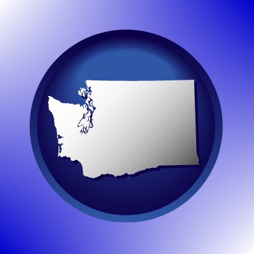 Washington icon