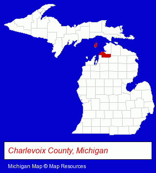 Michigan map, showing the general location of Terry's Place