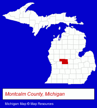 Michigan map, showing the general location of McNinch Chiropractic Center-LLC