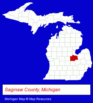 Michigan map, showing the general location of Wright K Technology Inc