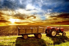 Agriculture news image