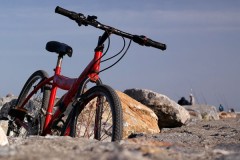 Bicycle news image