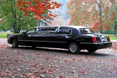 Limousine news image