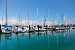 Marina news image