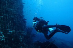 Scuba Diving news image